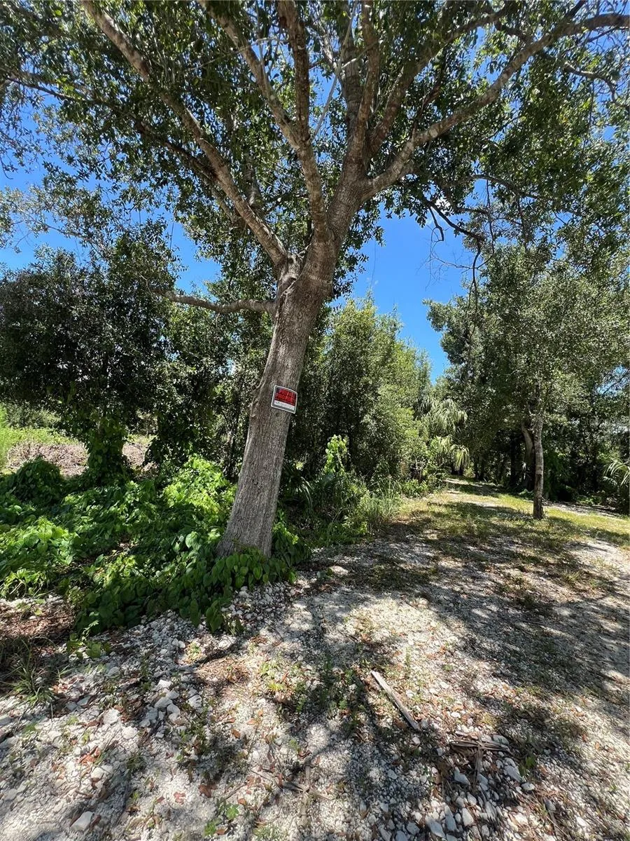 527 Orange Brook Lane, Punta Gorda, Florida 33982, ,Land,For Sale,ORANGE BROOK,O6122240