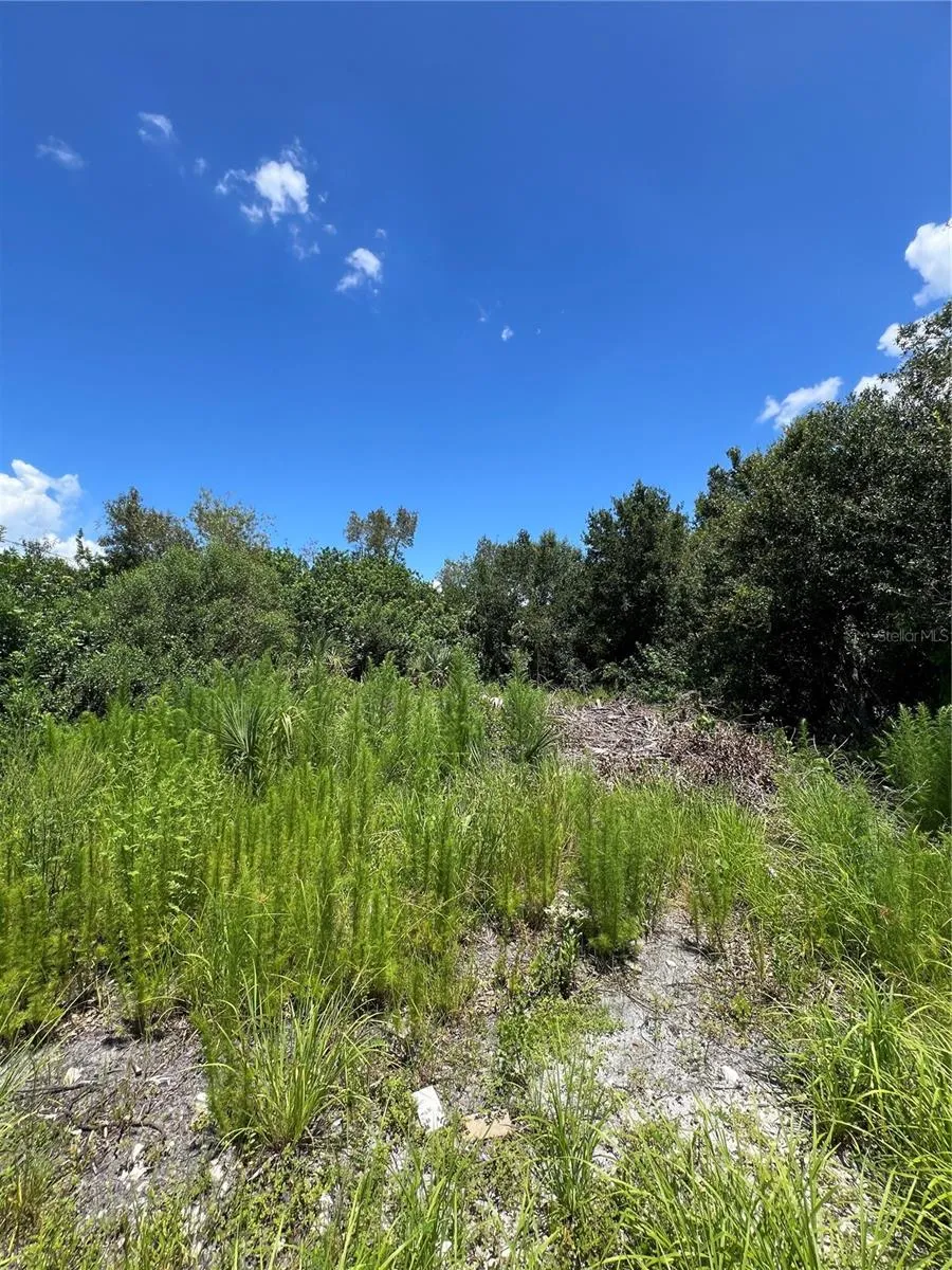 527 Orange Brook Lane, Punta Gorda, Florida 33982, ,Land,For Sale,ORANGE BROOK,O6122240