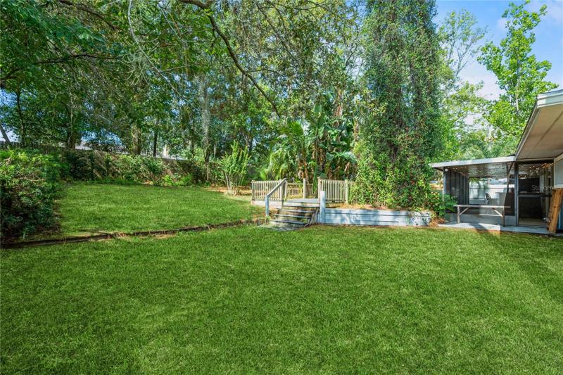 Expansive backyard
