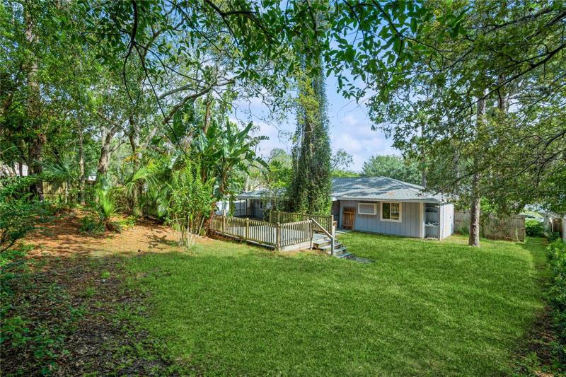 Backyard
