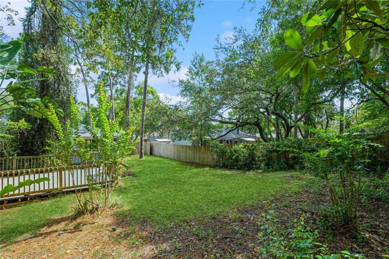 Backyard
