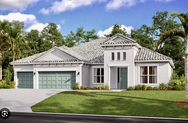 Savannah Model Rendering