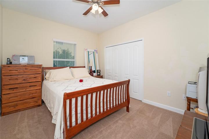 Downstairs Bedroom