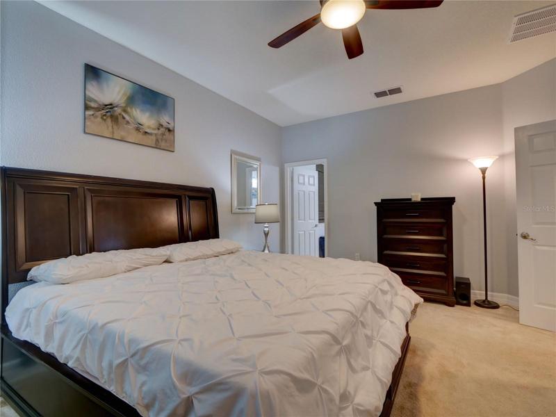 Master Suite with walk-in-closet