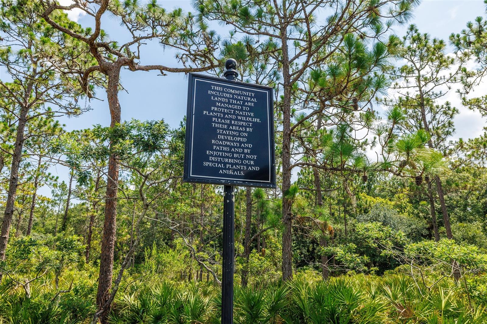 Nature Trail is just a special feature of this Community but also that the entrance is in Your Cul de Sac!  Easy Access to enjoy walking again!