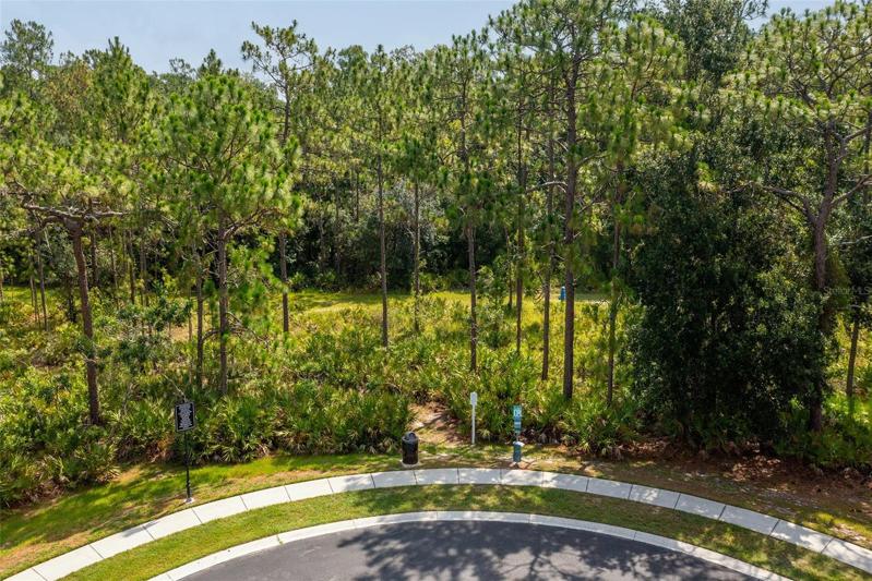 Nature Trail in the Cul de Sac by your Townhouse! What a wonderful opportunity!