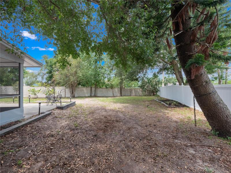 Fully fenced large backyard with fruit trees, enclosed lanai and two concrete patios.