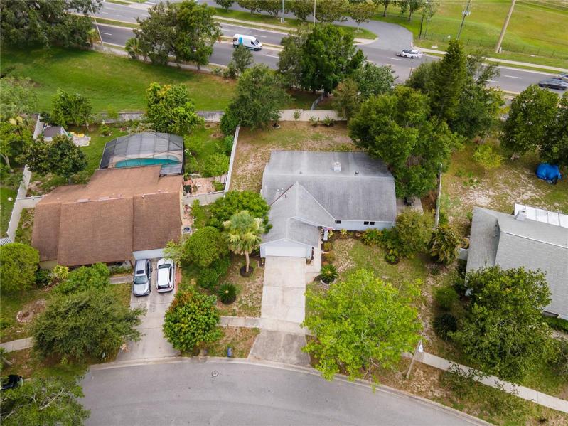 Fully fenced large backyard with fruit trees, enclosed lanai and two concrete patios.