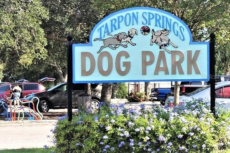 Dog Park