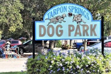 Dog Park