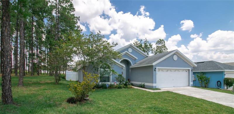 Mature wooded green space adjacent to property