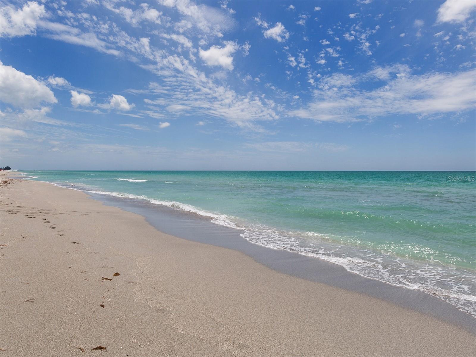 1057 Tuscany Boulevard, Venice, Florida 34292, 4 Bedrooms Bedrooms, ,3 BathroomsBathrooms,Residential,For Sale,TUSCANY,N6127535