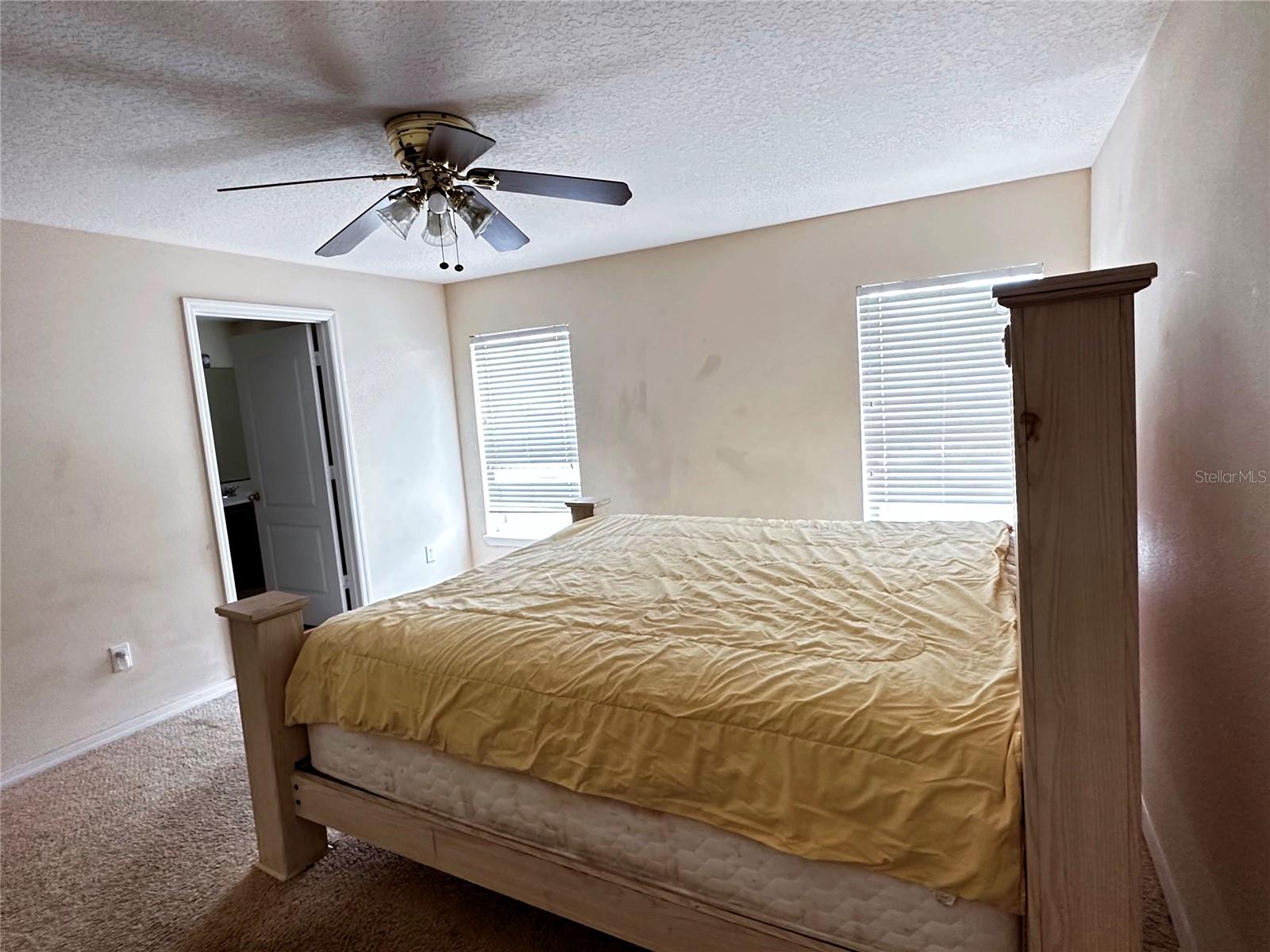 Downstairs Master bedroom