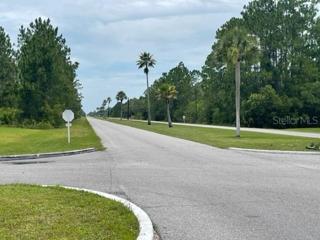 Road way at the entry