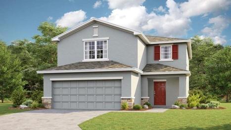 Maple Rendering
