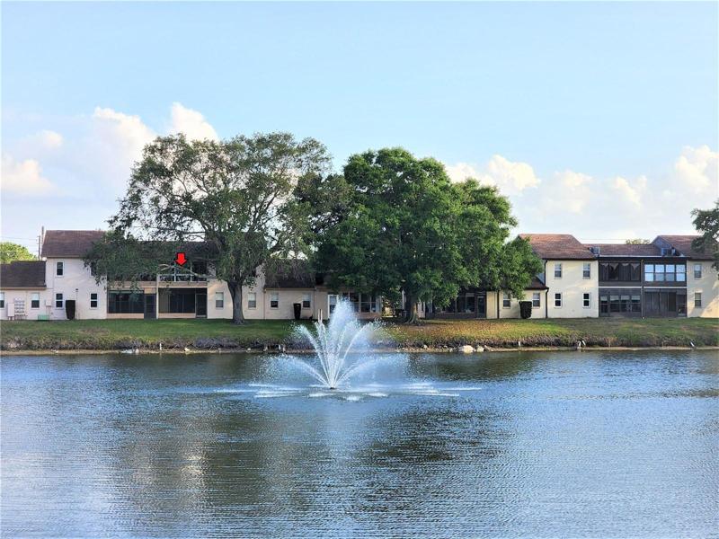 Lake view