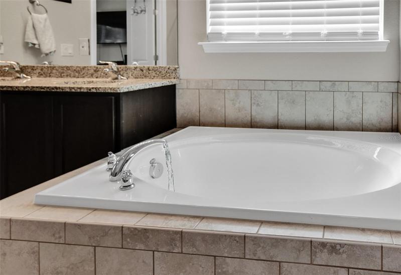 Master Bathroom Tub