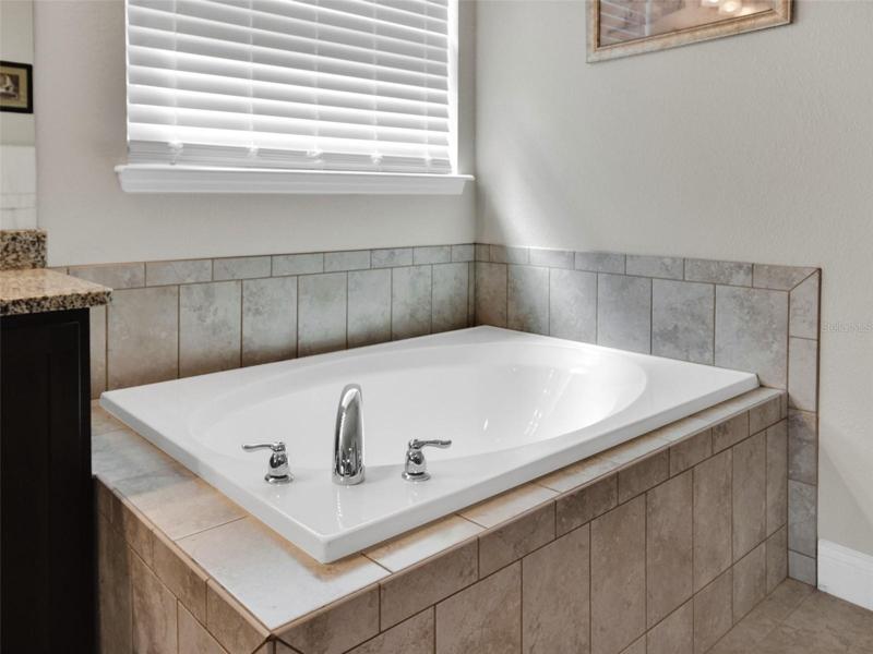 Master Bedroom Tub