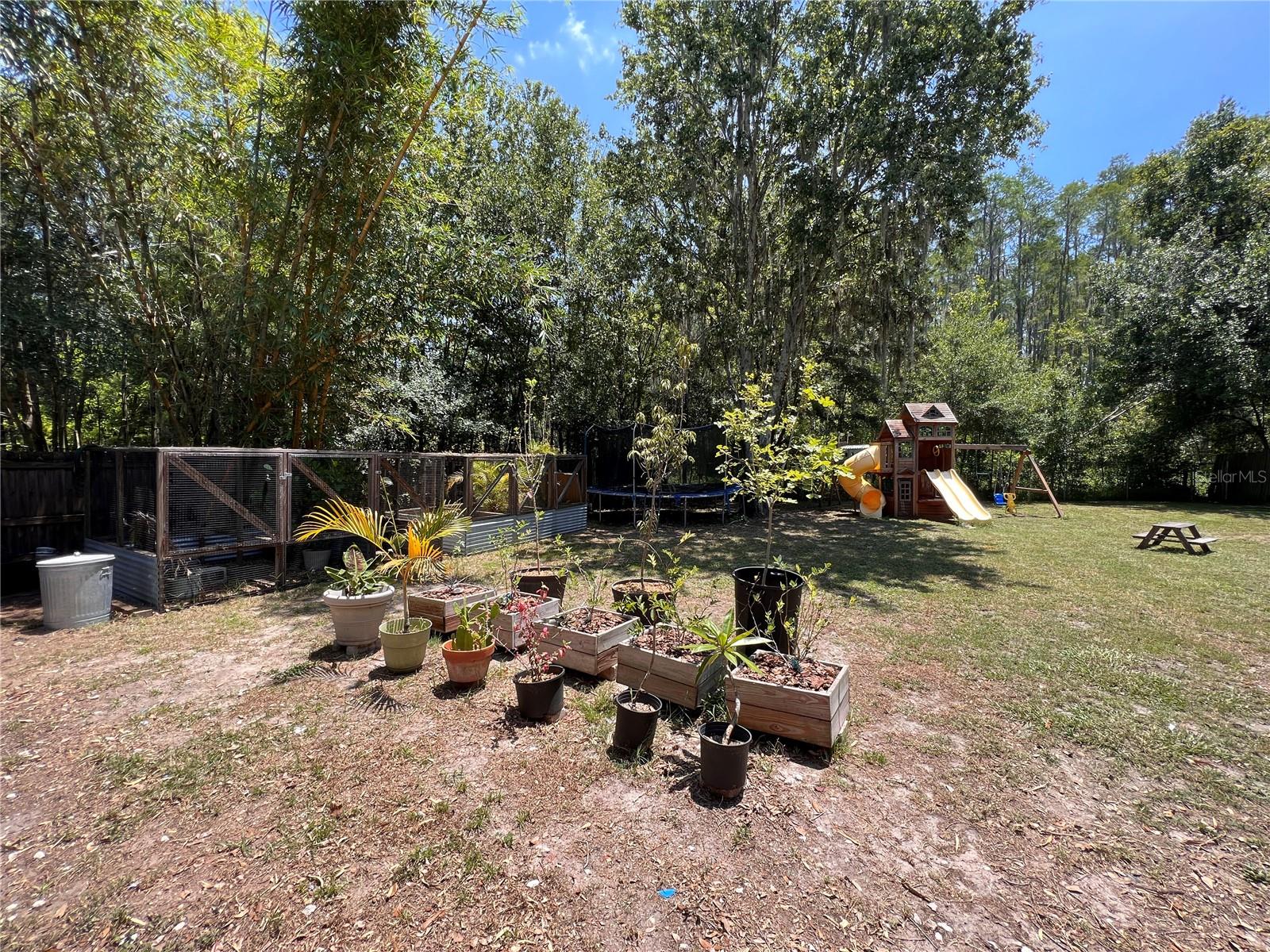 Back Yard