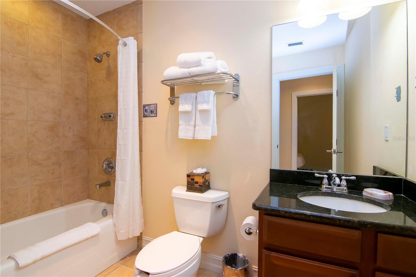 2nd bathroom Tub/shower combo