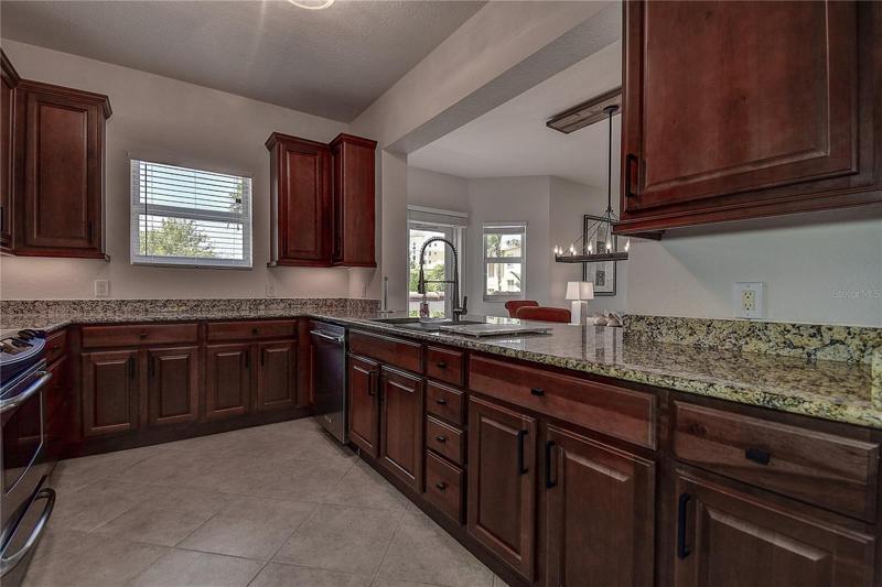 Wood cabinets and granite counters