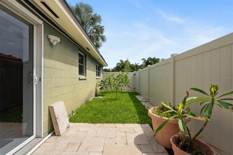 New vinyl privacy fence. Fruit trees!