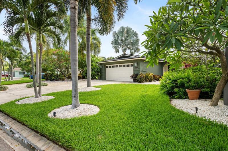 Lush lawn