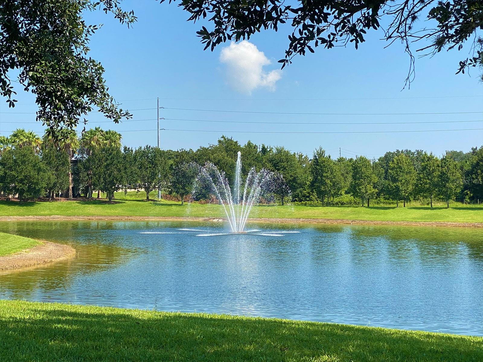 Fountain View