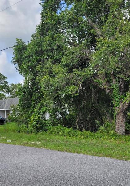 Vacant lot is adjacent to neighbor's house