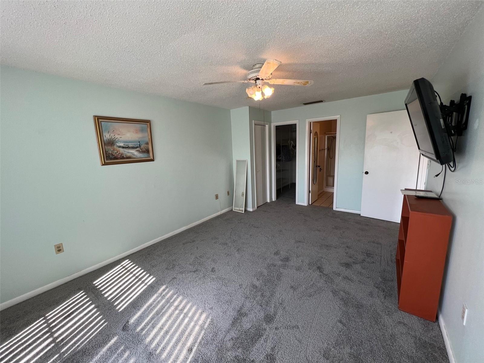 Master Bedroom with Walk In Closet