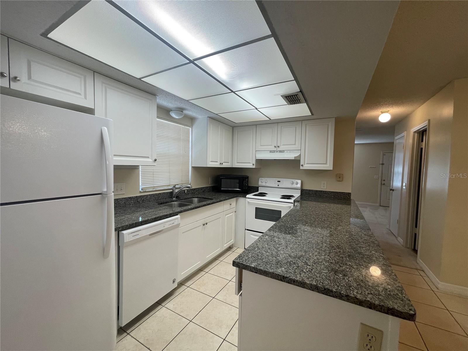 730 Putnam Kitchen