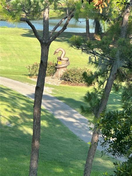 View of Snakepit