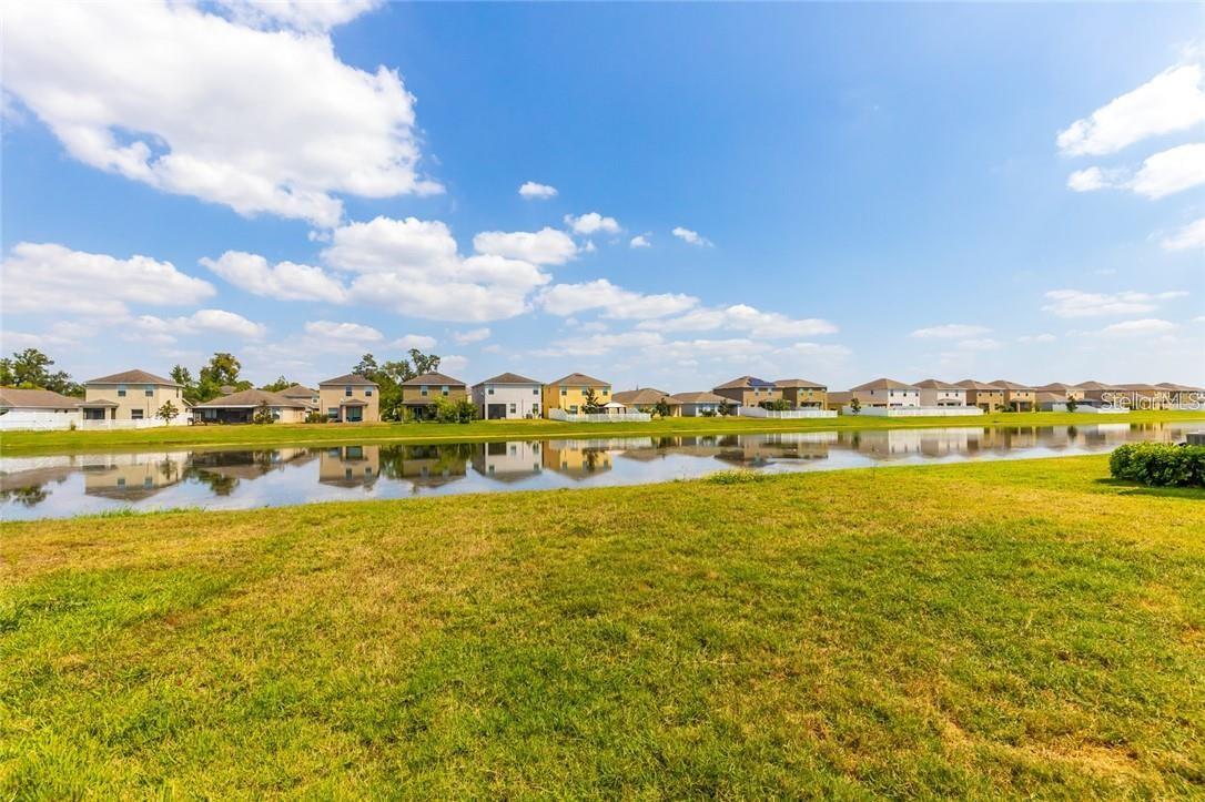 Backyard Pond View