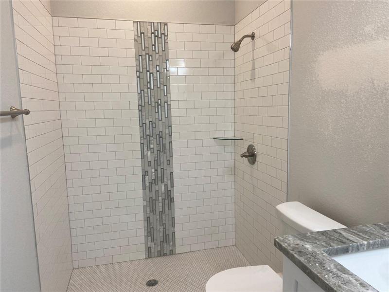 master bath, walk in shower