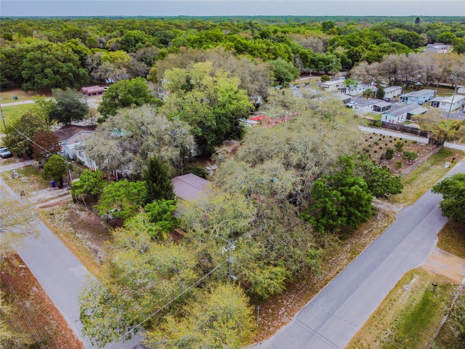 15101A N 19th Street, Lutz, Florida 33549, ,Land,For Sale,19TH,T3456102