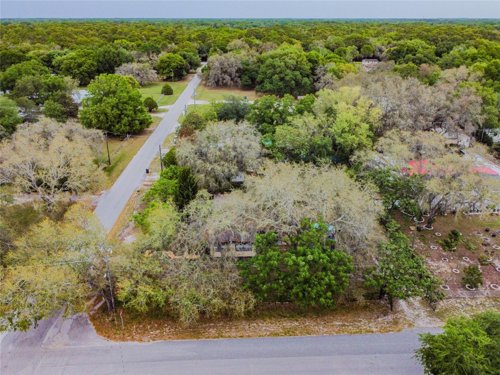 15101A N 19th Street, Lutz, Florida 33549, ,Land,For Sale,19TH,T3456102