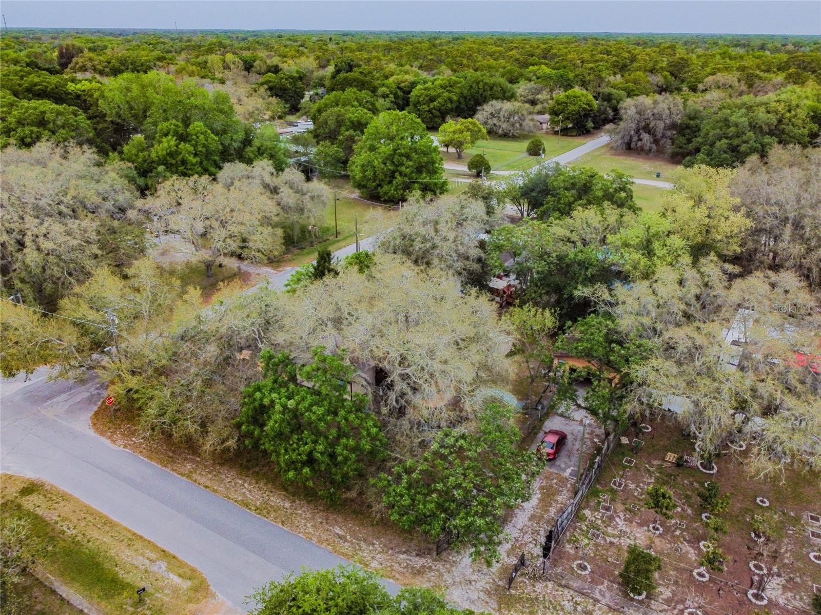 15101A N 19th Street, Lutz, Florida 33549, ,Land,For Sale,19TH,T3456102