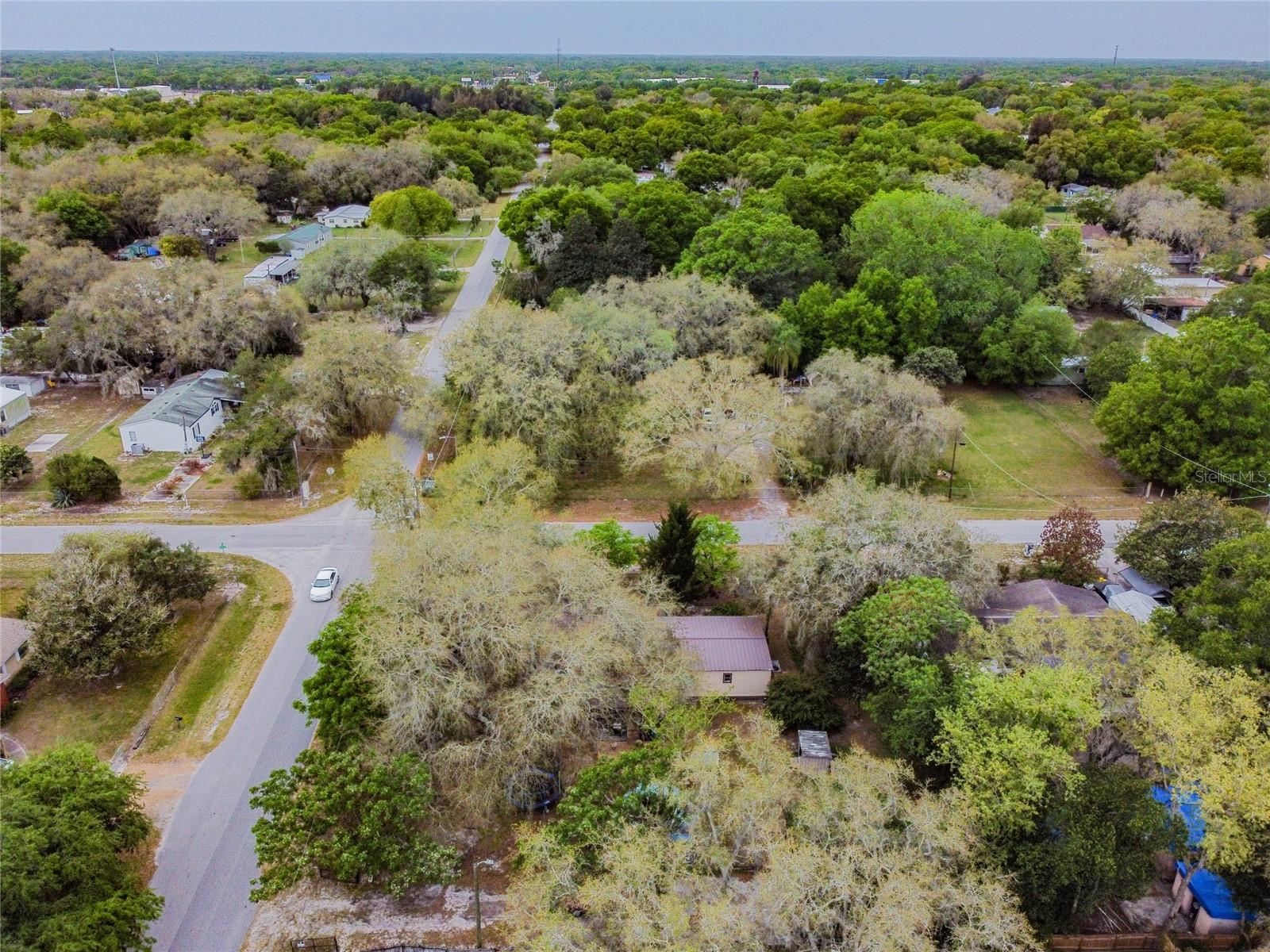 15101A N 19th Street, Lutz, Florida 33549, ,Land,For Sale,19TH,T3456102