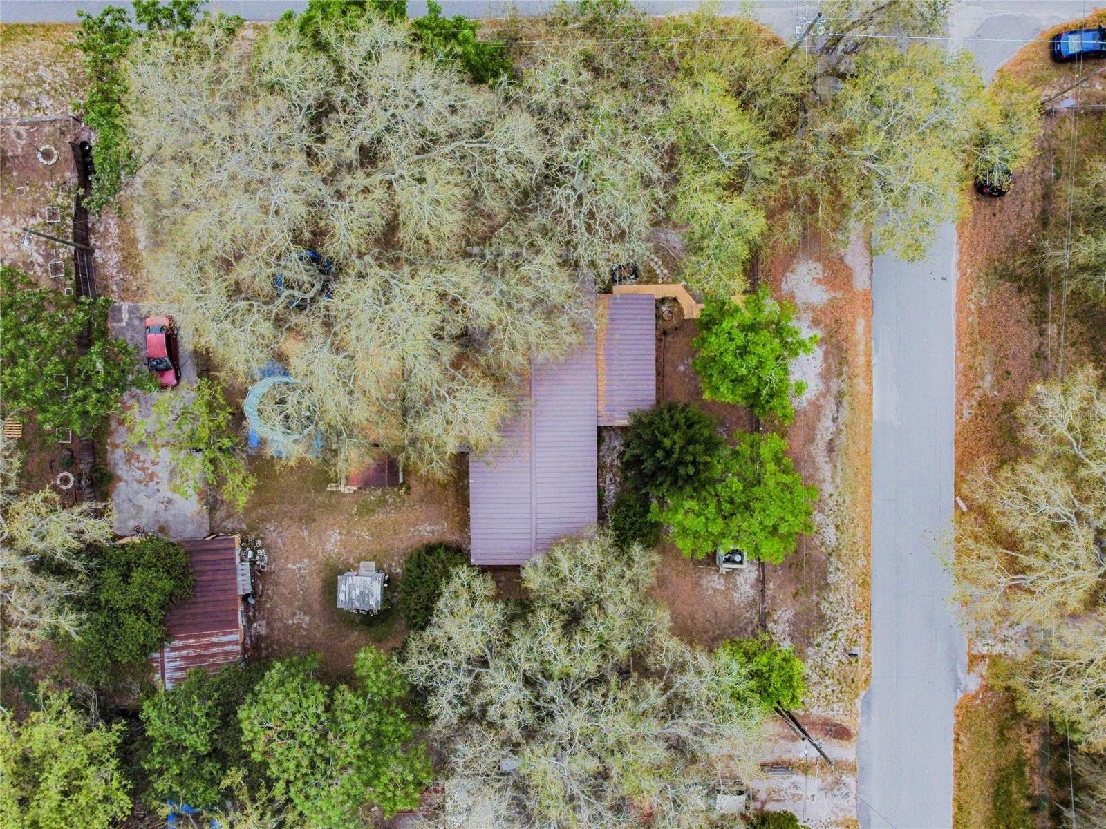 15101A N 19th Street, Lutz, Florida 33549, ,Land,For Sale,19TH,T3456102