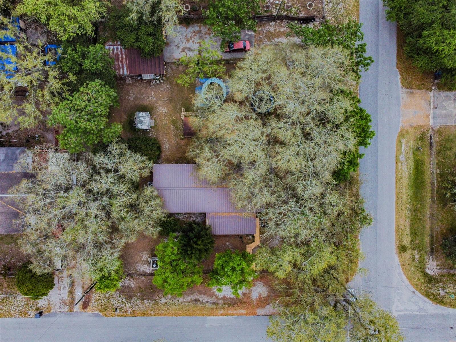 15101A N 19th Street, Lutz, Florida 33549, ,Land,For Sale,19TH,T3456102