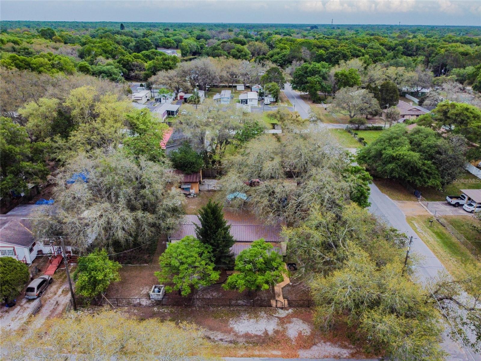 15101A N 19th Street, Lutz, Florida 33549, ,Land,For Sale,19TH,T3456102