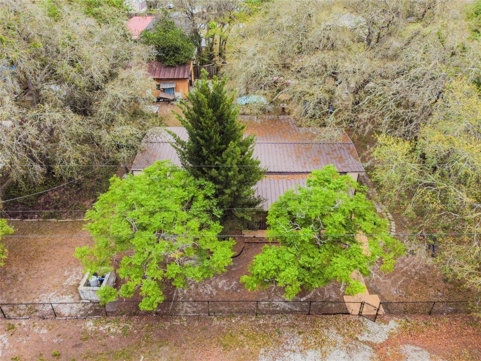 15101A N 19th Street, Lutz, Florida 33549, ,Land,For Sale,19TH,T3456102