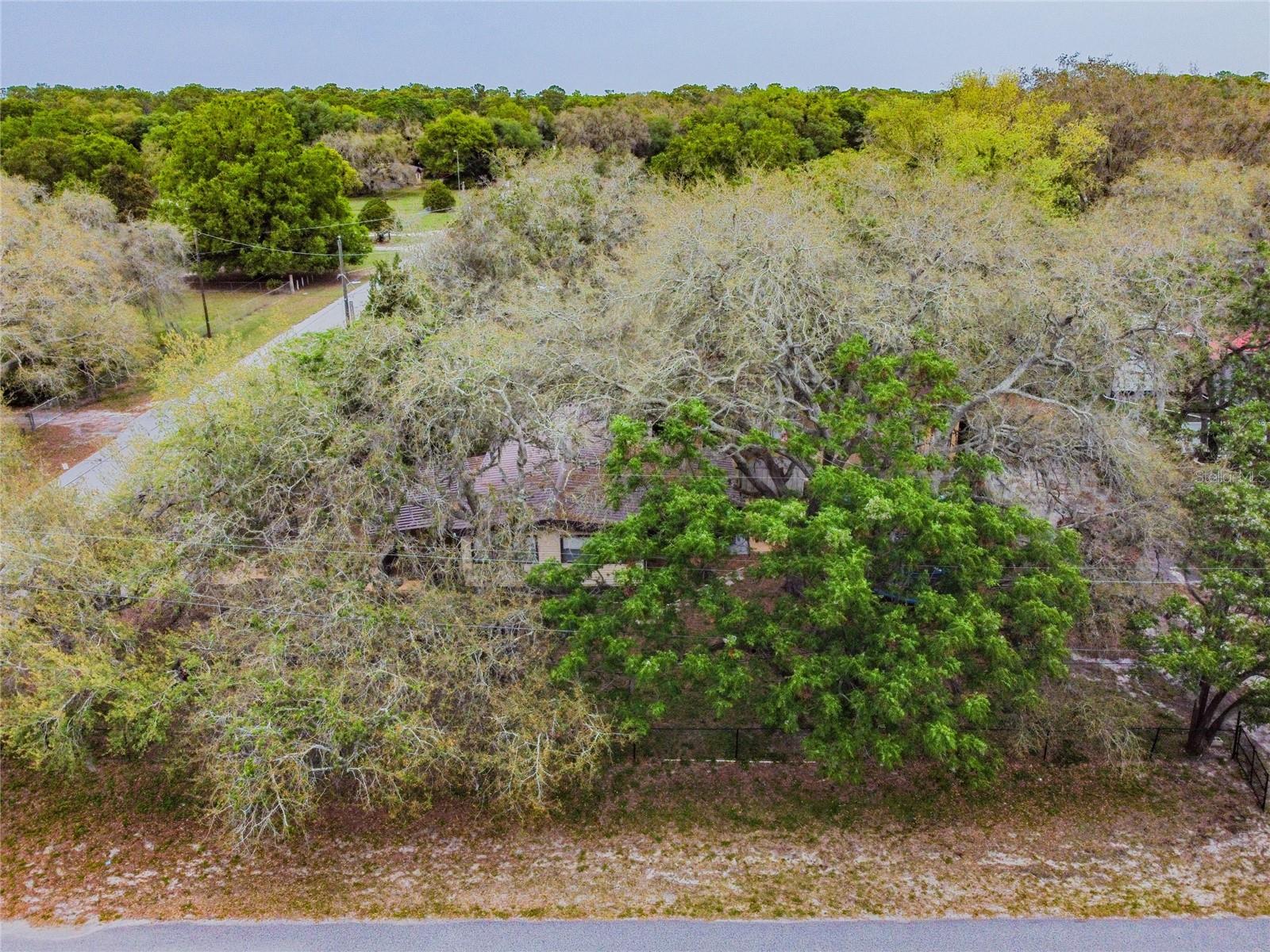15101A N 19th Street, Lutz, Florida 33549, ,Land,For Sale,19TH,T3456102
