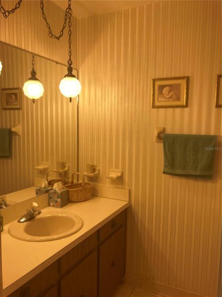 Family bath. Lots of counterspace.