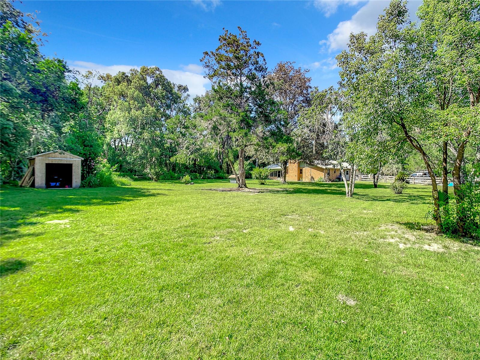 Back yard, shed, and rear of house
