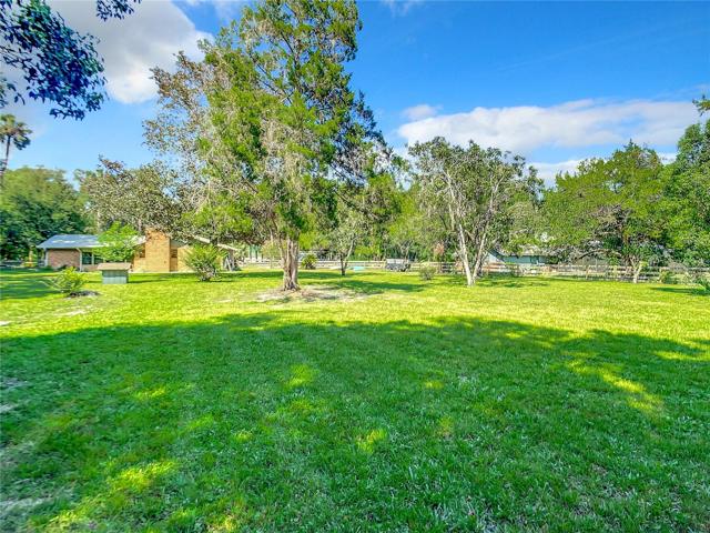 Another picture of the large back yard