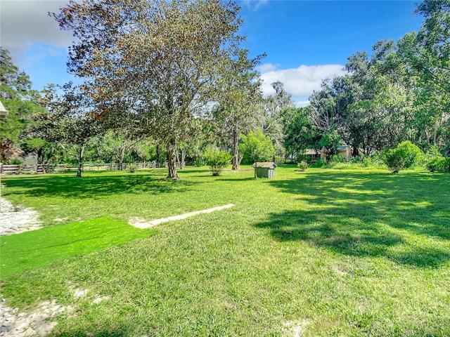 Large backyard