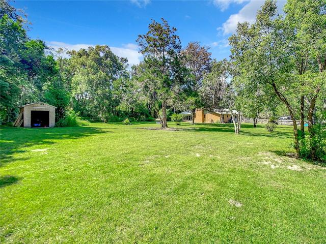 Back yard, shed, and rear of house