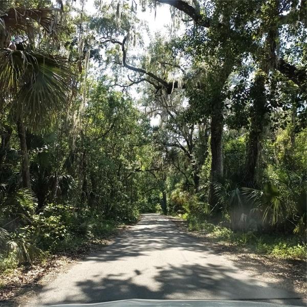 Road going to home