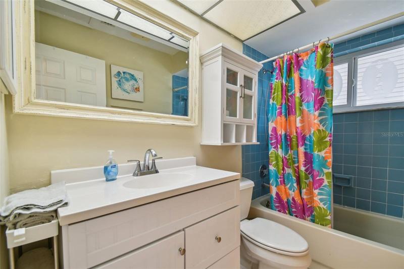 Hall bathroom